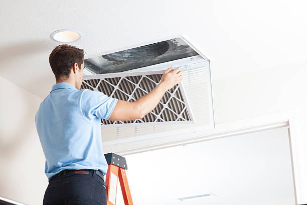 Best Ductless Mini-Split Systems in Auburn, KY